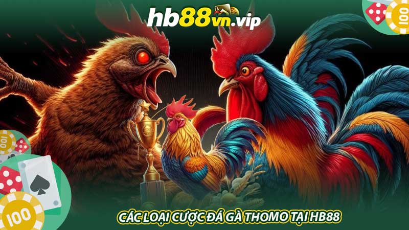 Các loại cược đá gà Thomo tại HB88