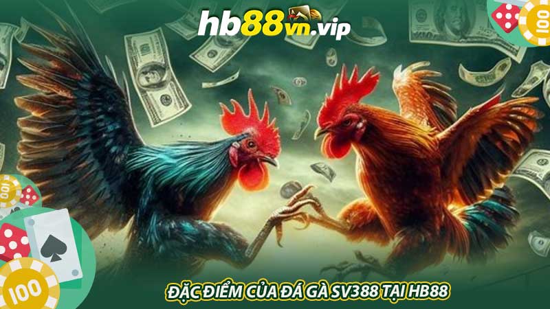 Đặc điểm của Đá gà SV388 tại HB88