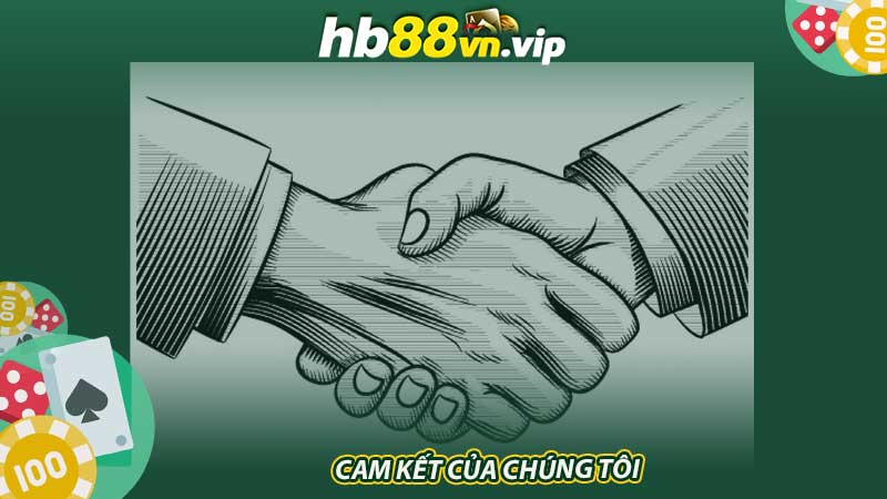 Cam kết của chúng tôi